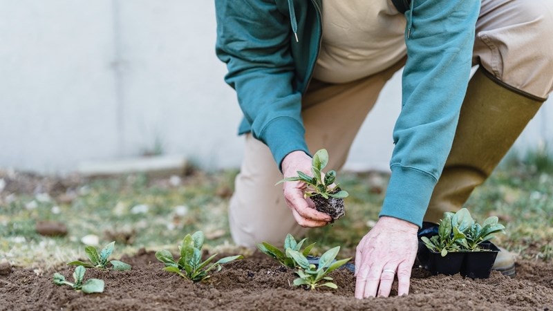 Wysigingswet op Vergoeding vir Beroepsbeserings en -siektes verduidelik Wysigingswet op Vergoeding vir Beroepsbeserings en -siektes verduidelik | News Article