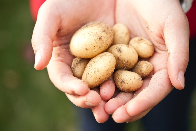 Wat is nuut in Farmer's Weekly? | News Article