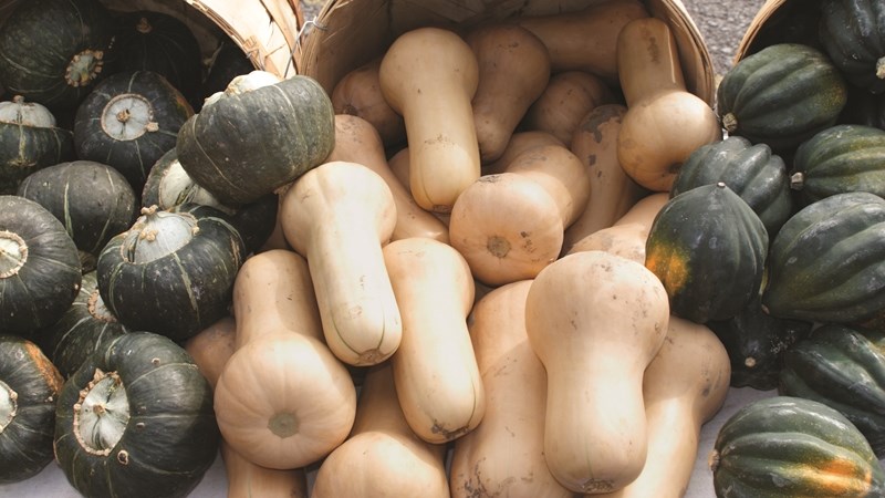 Agri podcast: Agriculture expected to grow slowly throughout the year Agri podcast: Agriculture expected to grow slowly throughout the year | News Article