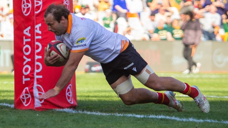 Return of injured Cheetahs stalwarts a welcome boost Return of injured Cheetahs stalwarts a welcome boost | News Article