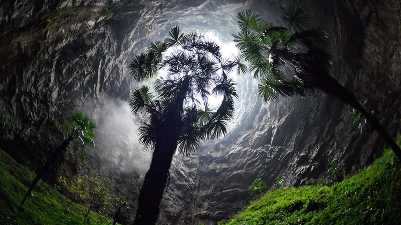 Weird Wide Web - Fantasy world found underground Weird Wide Web - Fantasy world found underground | News Article