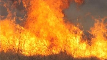 FS warned of favourable conditions for veld fires | News Article