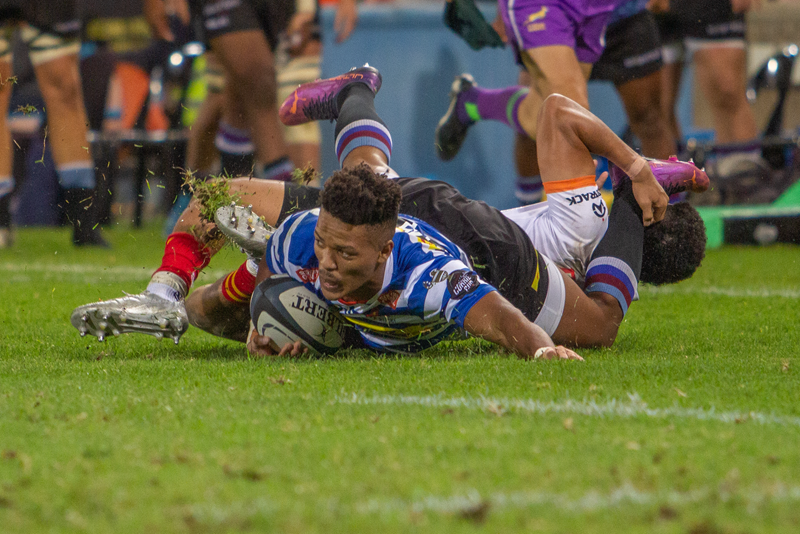 Province downplays fielding URC players against the Cheetahs | News Article