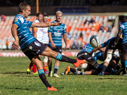 Griquas are targeting a home final | News Article