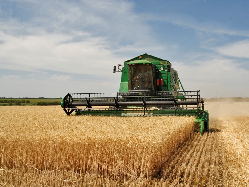 Agri-Uur: Jongste Safex-nuus | News Article