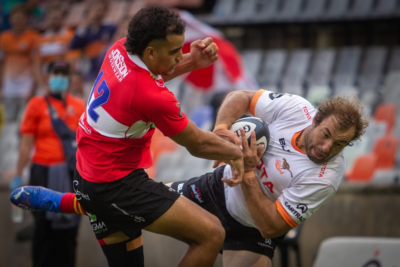 Cheetahs welcome the competition in the squad | News Article