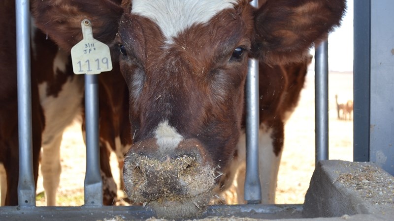Hier is van jou hoof landboustories op OFM Hier is van jou hoof landboustories op OFM | News Article