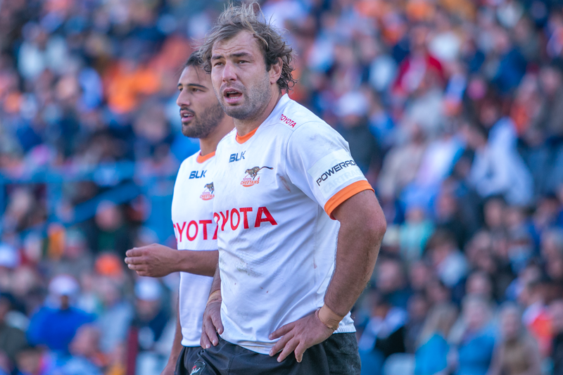 Cheetahs leave disappointing semi-final in the past | News Article