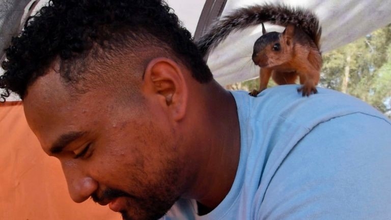 Weird Wide Web – Man, eekhoring soek asiel in Amerika  | News Article