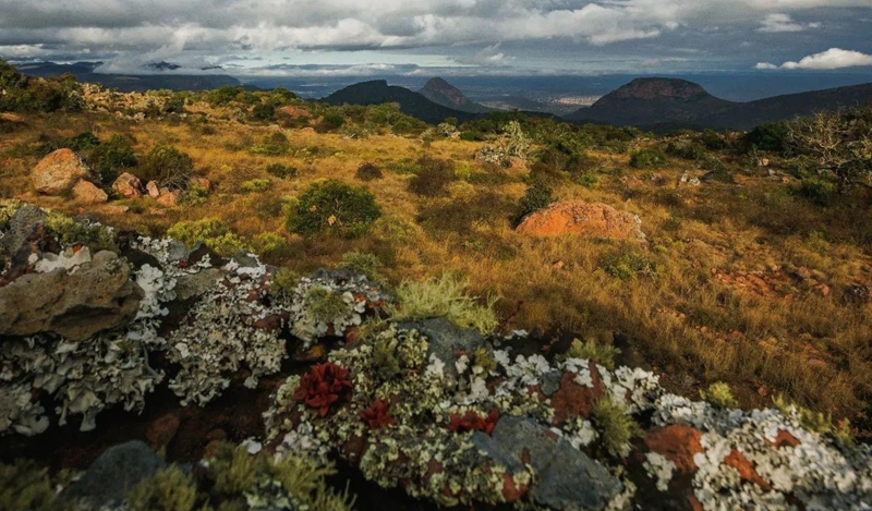 Publiek kan Soutpansberg met stemming help red | News Article