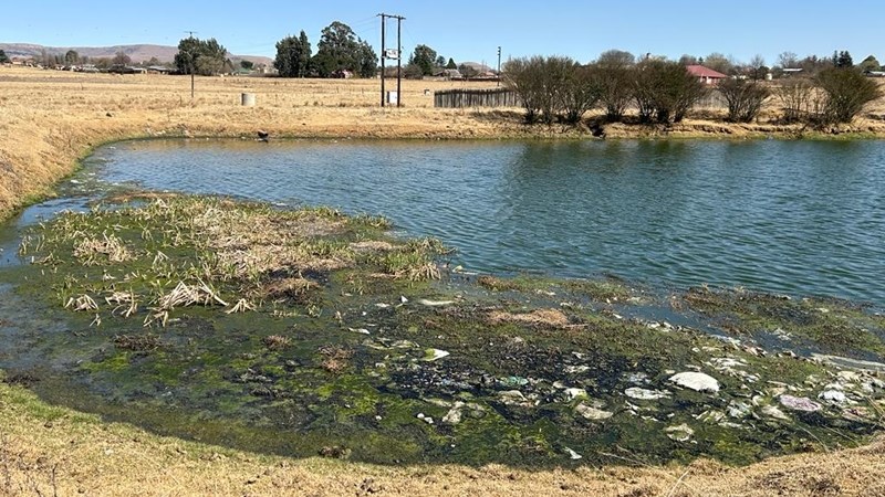  Phumelela aware of sewage flowing into wetland | News Article