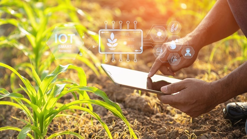 Moderne graanproduksie véél meer as ‘druk goeters in die grond’ Moderne graanproduksie véél meer as ‘druk goeters in die grond’ | News Article