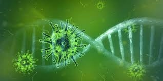 #BreakingNews: 60 test positive in #Covid19 outbreak at Grey College | News Article