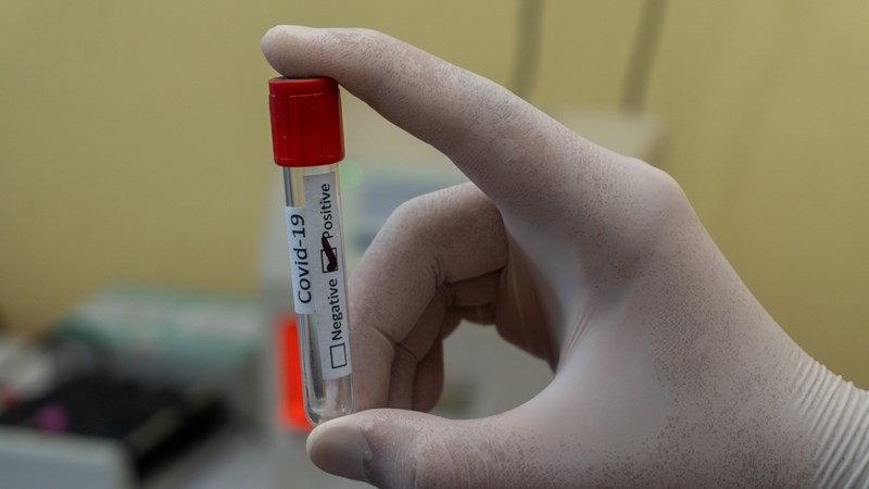 Mangaung is leading FS with most daily infections Mangaung is leading FS with most daily infections | News Article