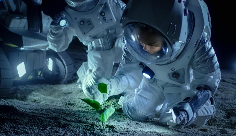 Weird Wide Web - Moon plants grown on Earth | News Article