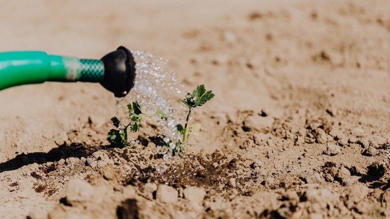 Landbounuus-podcast: Hofbeslissing deurslaggewend vir waterregtehouers | News Article
