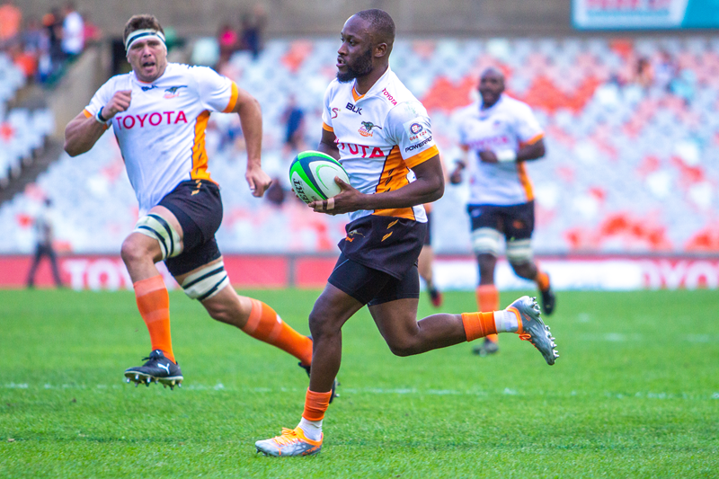 Cheetahs ready for Zebre test | News Article