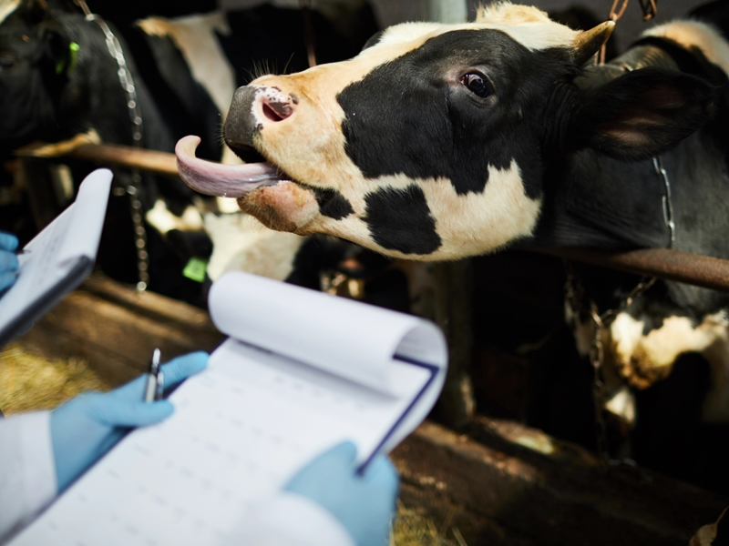 7 nuwe BKS-gevalle in Vrystaat bevestig | News Article