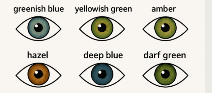 Weird Wide Web – Russiese vrou probeer genetika uitoorlê | News Article