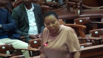 Free State Education to strengthen foundation phase to reduce dropout rate Free State Education to strengthen foundation phase to reduce dropout rate | News Article