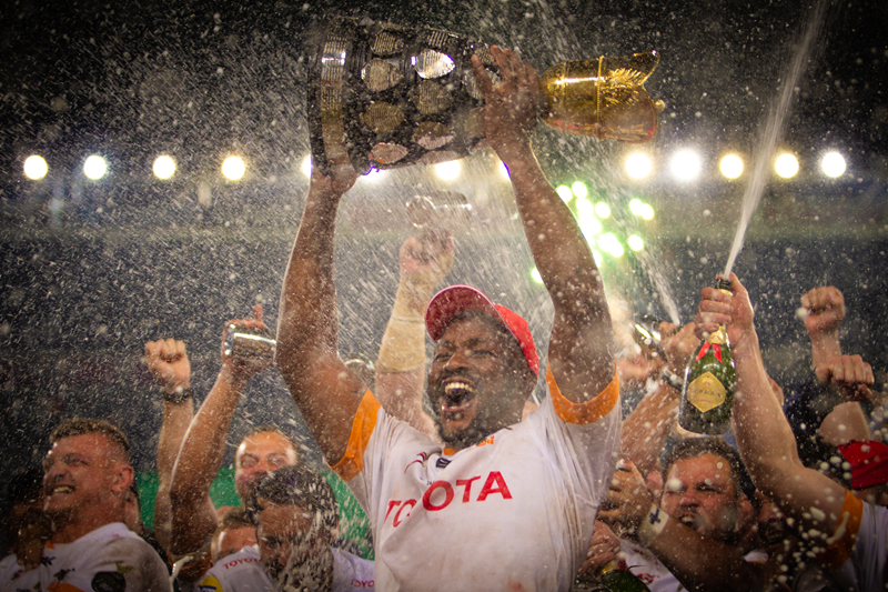 Cheetahs want to learn from the Springboks success | News Article