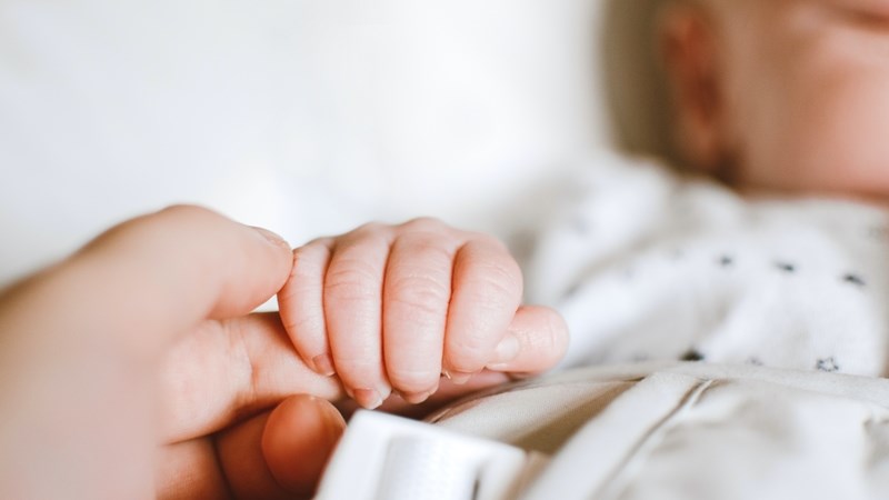 Close to 200 babies born in Central South Africa on New Year's Day Close to 200 babies born in Central South Africa on New Year's Day | News Article