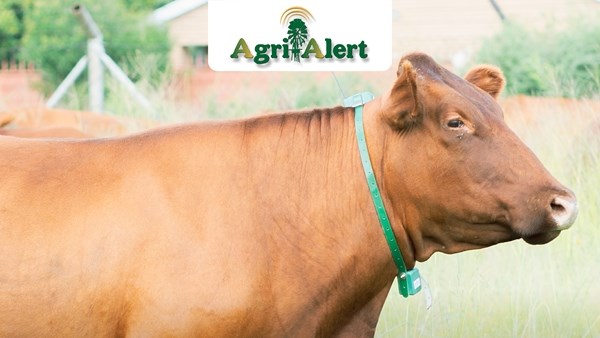 Agri-Alert: 'n oplossing vir veediefstal Agri-Alert: 'n oplossing vir veediefstal | News Article