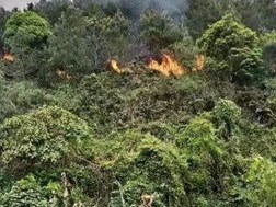 Plane carrying 132 crashes in China | News Article