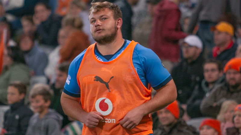 Nieuwoudt set for Cheetahs debut Nieuwoudt set for Cheetahs debut | News Article