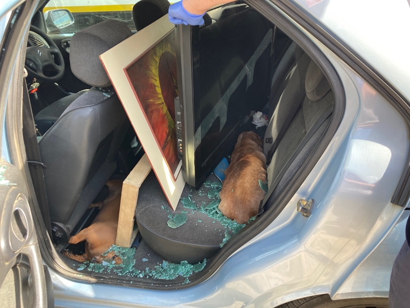 Bloemfonteiner gevonnis nadat hy honde byna week in motor los | News Article