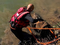 Bodies of unknown man, woman found in Free State | News Article