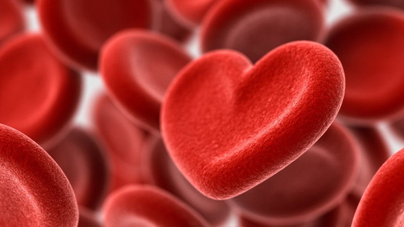 #OFMHeartWeek - Cholesterol en ander risikofaktore | News Article