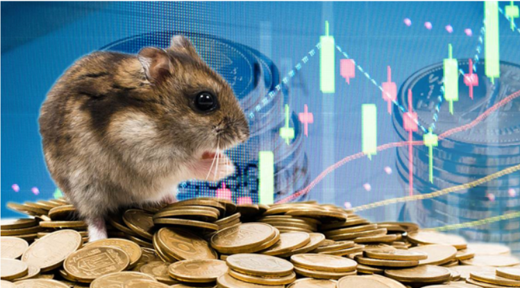 Weird Wide Web - Guess who's got your crypto trading tips | News Article