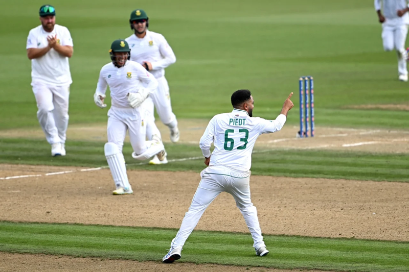 Knights get in-form Piedt back for 4-Day final | News Article