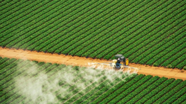 Verantwoordelike plaagdodergebruik belangrik – CropLife SA | News Article