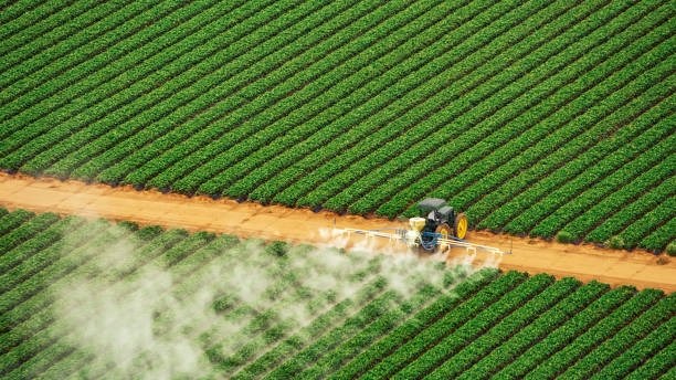 Verantwoordelike plaagdodergebruik belangrik – CropLife SA | News Article