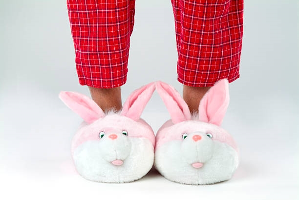 It is almost time for #Slipperday2022 - Vimarsana News