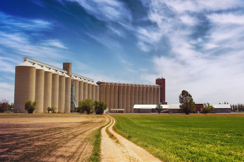 Senwes Grainlink - jou graanvennoot | News Article