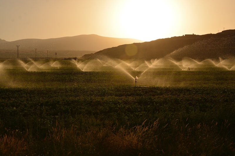 What’s new in Farmer’s Weekly? | News Article