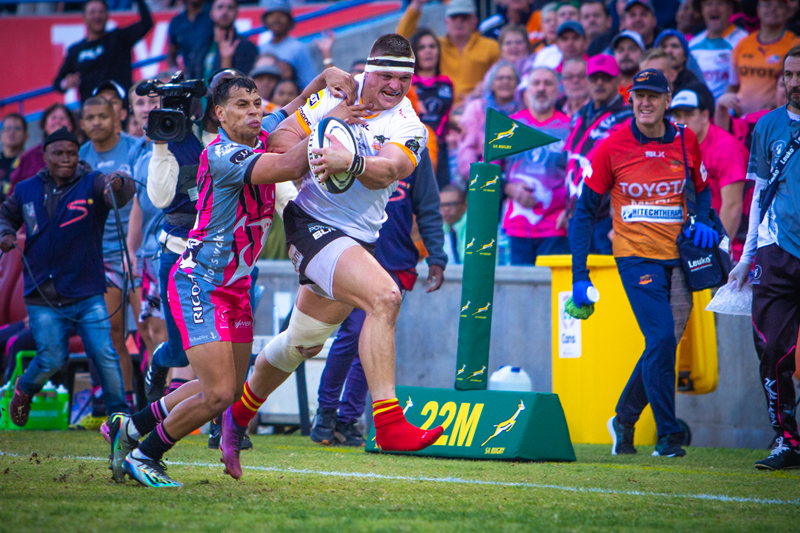Cheetahs want to hit the ground running | News Article