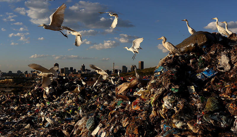 Dumping site will be removed: Dihlabeng mayor  | News Article