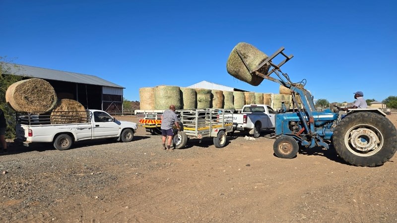 Help só Noord-Kaapse boere tydens droogte | News Article