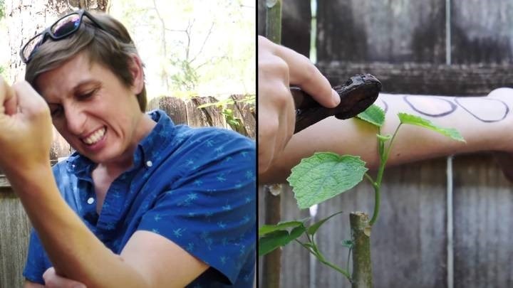 Weird Wide Web - Dié plant is nie ’n 'netelige' situasie Weird Wide Web - Dié plant is nie ’n 'netelige' situasie | News Article