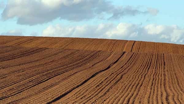 Die eenmansaak-besigheidstruktuur in landbou | News Article