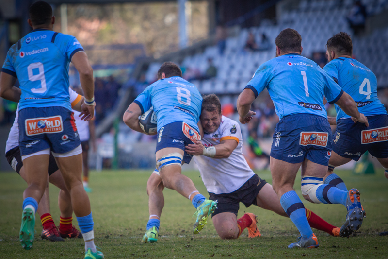 Cheetahs sweating over important Ferreira and Van Wyk | News Article
