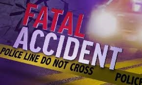 Taxi overturns, two people die in Free State | News Article