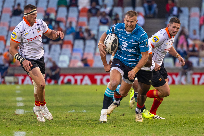 Griquas great Whitehead on debut for Sharks in URC | News Article