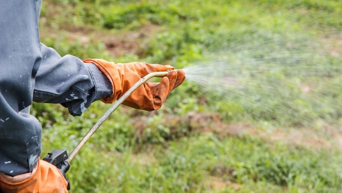 Deel 1: Weerstand teen onkruiddoders moet bo-aan elke boer se prioriteitslys wees | News Article