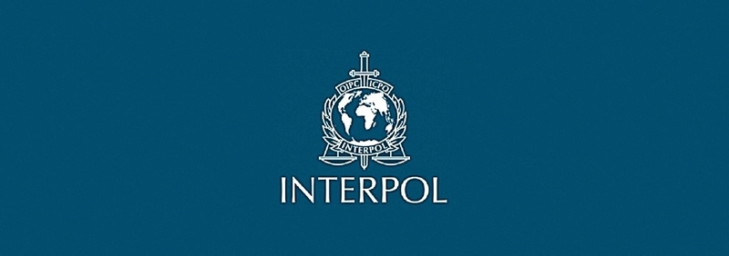 Saai en AfriForum roep Interpol tot aksie oor veediefstal | OFM