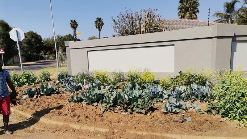 Man who planted vegetables on Pretoria sidewalk in court | News Article